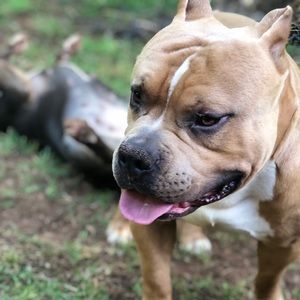 Meet your Posher, Mellissa